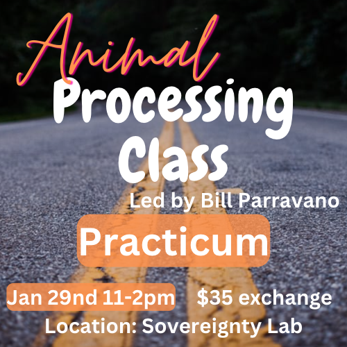 Animal Processing Class: Practicum Jan 29, 2023