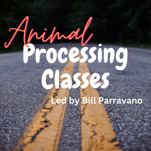 Animal Processing Classes