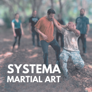 Systema Asheville Systema Martial Art Weaverville