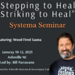 "Stepping to Heal, Striking to Heal" Systema Seminar