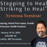 "Stepping to Heal, Striking to Heal" Systema Seminar