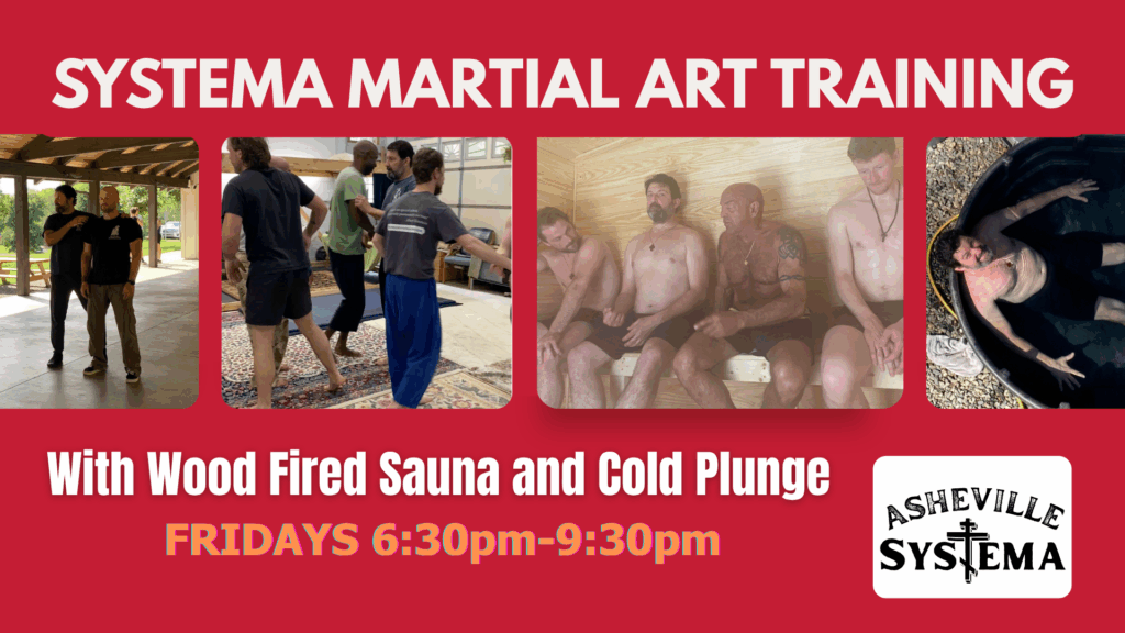 Systema sauna and cold plunge asheville