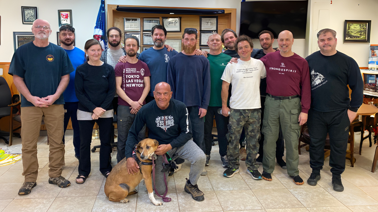 Systema Seminars, Movement Seminars and more